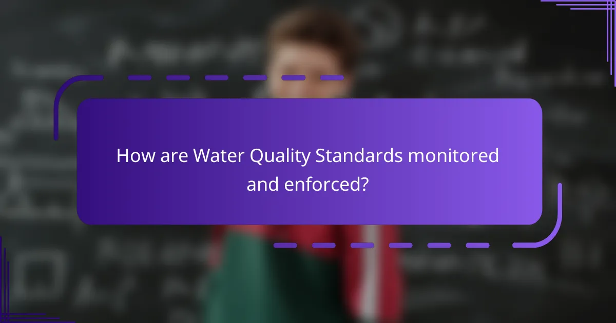 How are Water Quality Standards monitored and enforced?