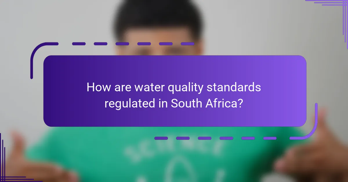 How are water quality standards regulated in South Africa?