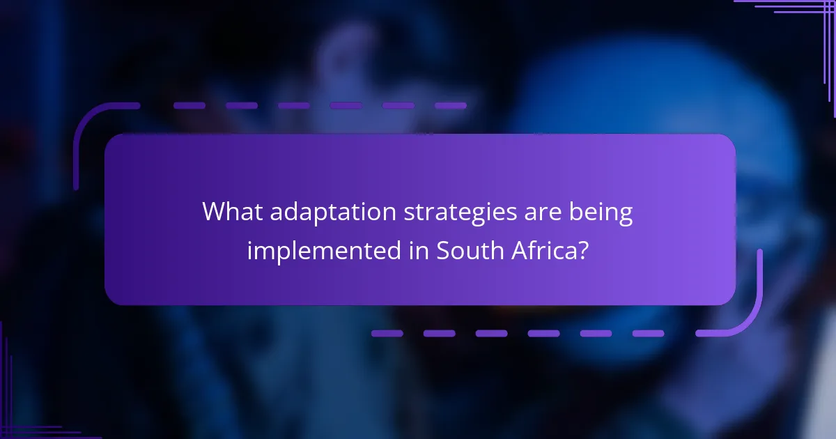 What adaptation strategies are being implemented in South Africa?