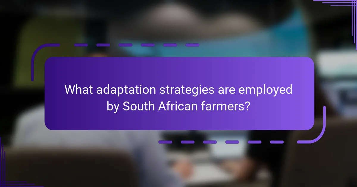 What adaptation strategies are employed by South African farmers?