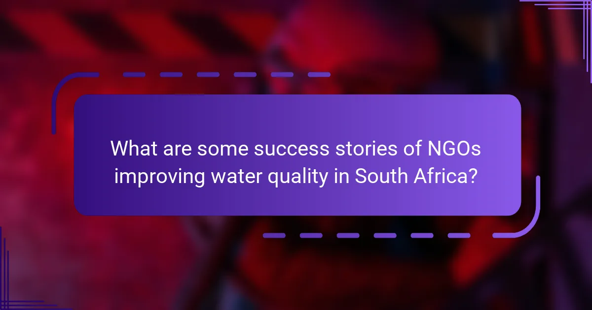 What are some success stories of NGOs improving water quality in South Africa?
