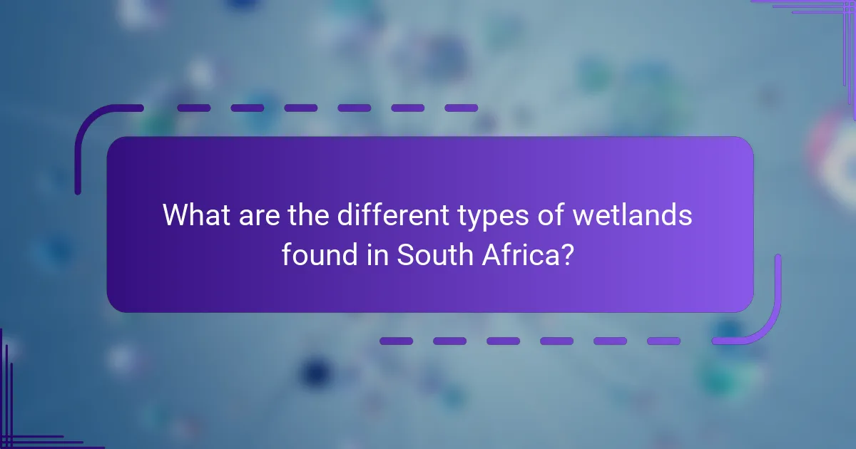 What are the different types of wetlands found in South Africa?