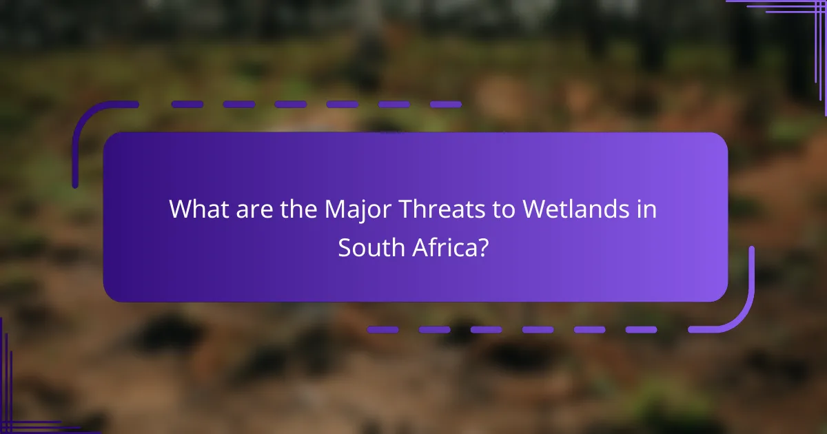 What are the Major Threats to Wetlands in South Africa?