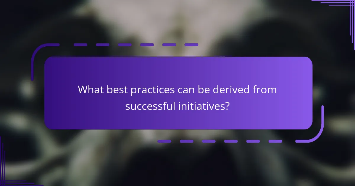 What best practices can be derived from successful initiatives?