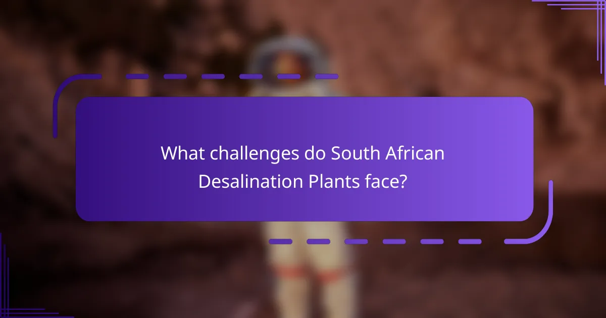 What challenges do South African Desalination Plants face?