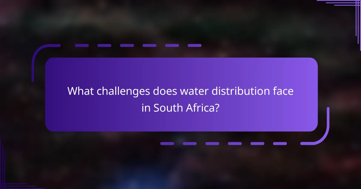 What challenges does water distribution face in South Africa?