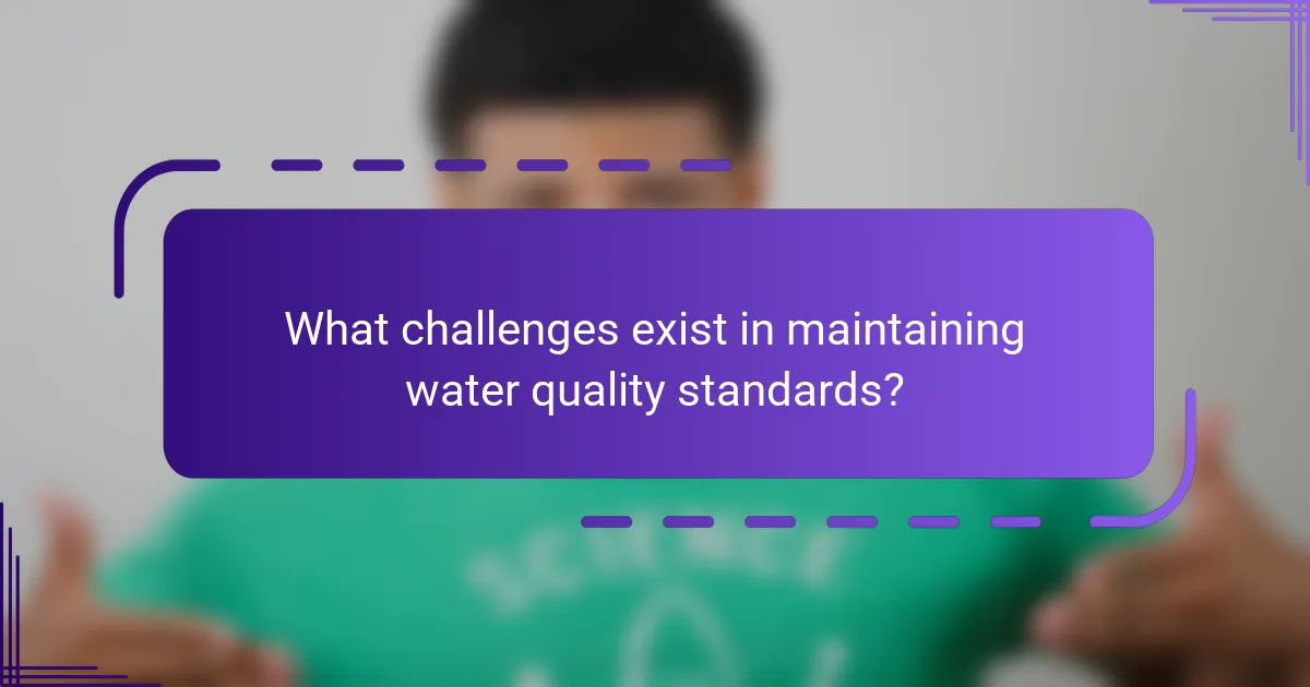 What challenges exist in maintaining water quality standards?