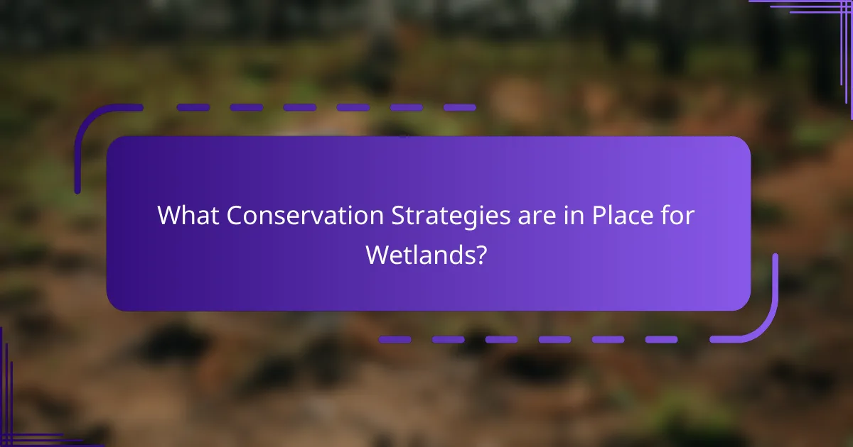 What Conservation Strategies are in Place for Wetlands?