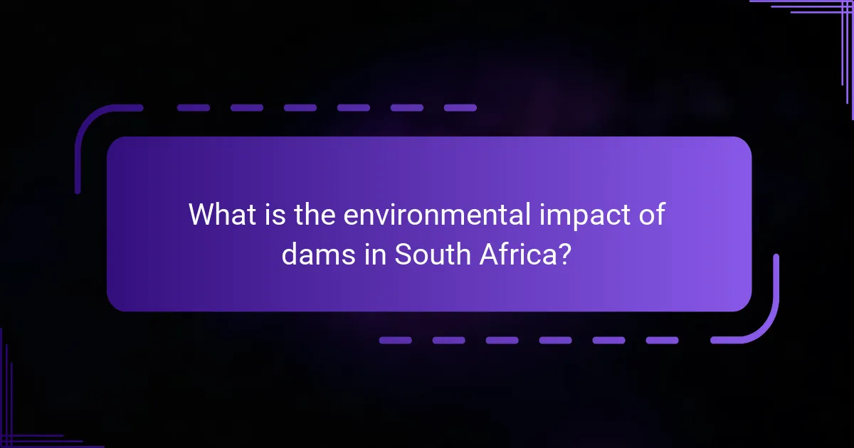 What is the environmental impact of dams in South Africa?