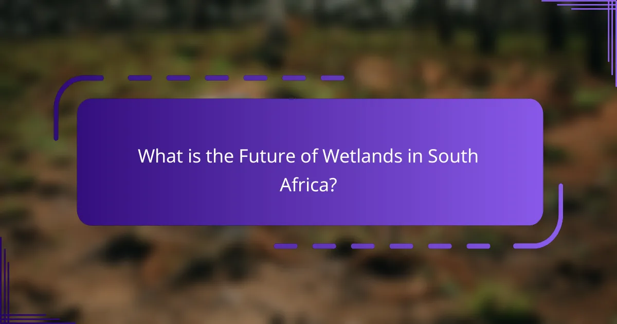 What is the Future of Wetlands in South Africa?