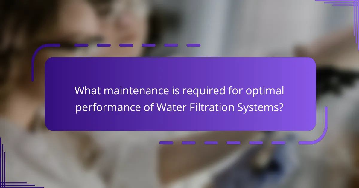 What maintenance is required for optimal performance of Water Filtration Systems?