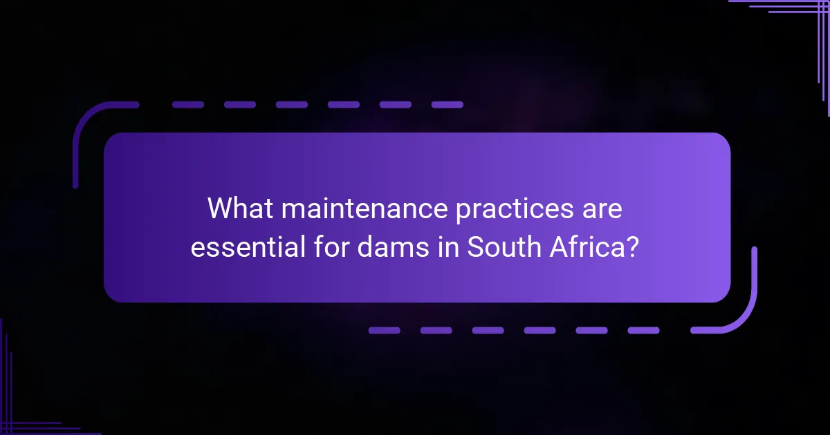 What maintenance practices are essential for dams in South Africa?