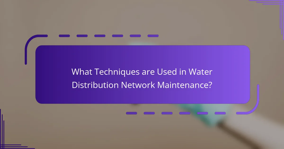 What Techniques are Used in Water Distribution Network Maintenance?